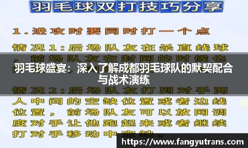 羽毛球盛宴：深入了解成都羽毛球队的默契配合与战术演练